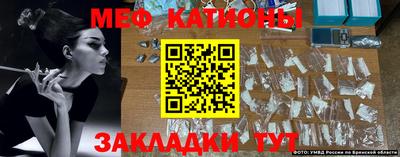 индика Гусев