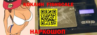 индика Гусев