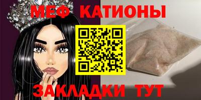 индика Гусев