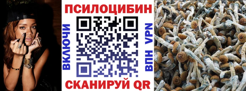 МЕГА tor  Удомля  Псилоцибиновые грибы Psilocybe 