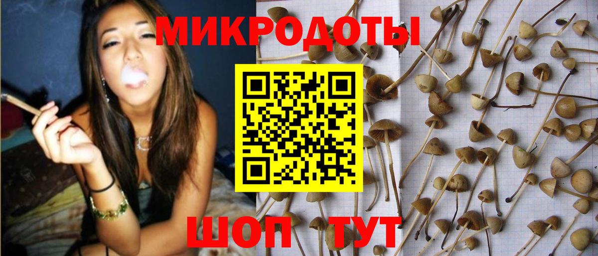 Галлюциногенные грибы GOLDEN TEACHER Удомля