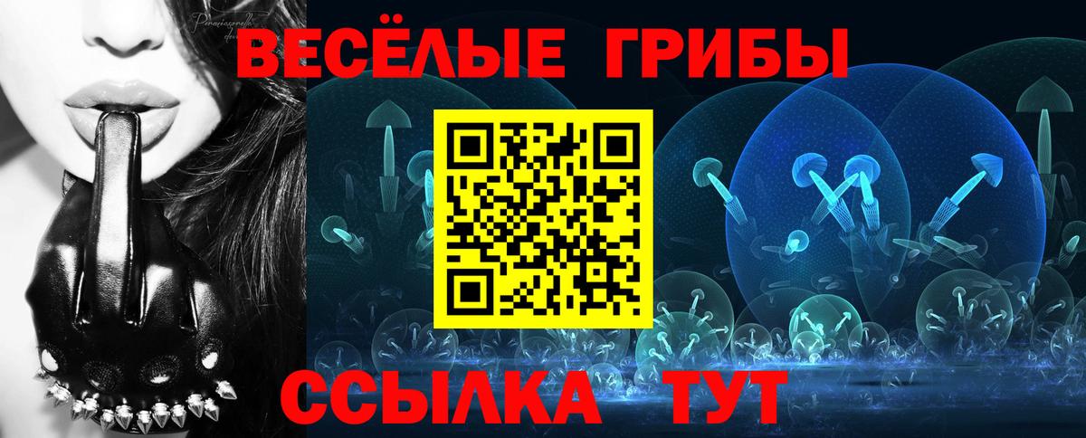 Псилоцибиновые грибы мицелий  Вход с VPN  Удомля 